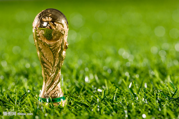 日常养成保 日常养成保